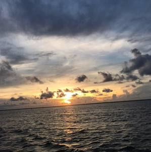 Meet your Posher, Caitlin